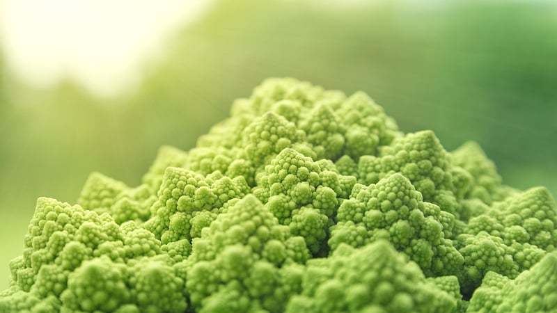 Vegetables